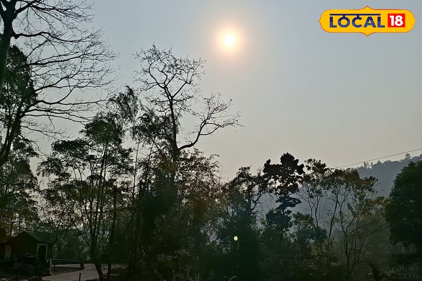 রঙের উচ্ছ্বাস আর আবিরের আবহে কাটল দোলযাত্রা। কিন্তু উৎসব বিদায় নিতেই যেন প্রকৃতি বদলে ফেলেছে রূপ। উত্তরবঙ্গ জুড়ে দ্রুত বাড়ছে তাপমাত্রা, দুপুর গড়াতেই রোদের তেজ হয়ে উঠছে অস্বস্তিকর। দোলের পরপরই গরমের এই উত্থান নিয়ে চিন্তায় সাধারণ মানুষ। (ছবি ও তথ্য: ঋত্বিক ভট্টাচার্য)