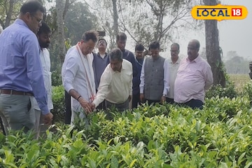 চা শিল্পের হালহকিকত জানতে জলপাইগুড়িতে কেন্দ্রীয় মন্ত্রী! ক্ষুদ্র চা চাষিদের জন্য বড় খবর