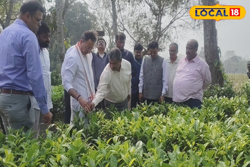 উত্তরবঙ্গের চা শিল্পের খবর নিতে জলপাইগুড়িতে কেন্দ্রীয় মন্ত্রী জিতিন প্রসাদ! উত্তরবঙ্গের চা শিল্পের বর্তমান পরিস্থিতি এবং উৎপাদন সংক্রান্ত সমস্যাগুলি সরেজমিনে খতিয়ে দেখতে বৃহস্পতিবার জলপাইগুড়ি সফরে এলেন কেন্দ্রীয় মন্ত্রী।