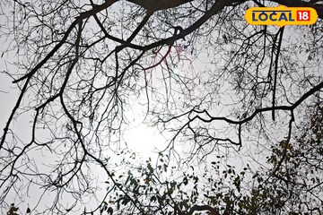 বিরাট ভোলবদল, হুড়মুড়িয়ে তাপমাত্রা বাড়বে দক্ষিণে, আগামীকাল কেমন থাকবে আবহাওয়া? জেনে নিন