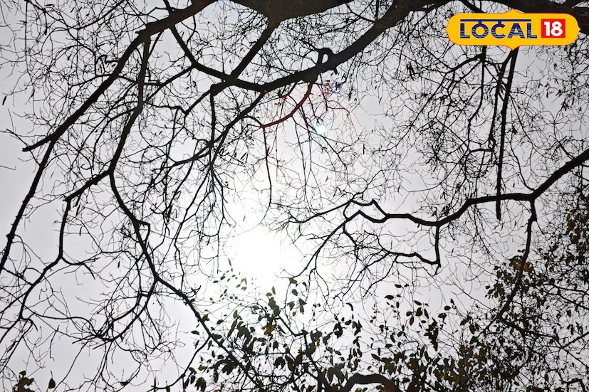 শুক্রবার বাঁকুড়া জেলায় গরমের প্রবণতা আরও কিছুটা বাড়তে পারে বলে পূর্বাভাস আবহাওয়া দফতরের। দিনের শুরুতে আকাশ বেশিরভাগ সময় পরিষ্কার থাকবে, তবে মাঝে মাঝে আংশিক মেঘও দেখা যেতে পারে। দুপুরের দিকে রোদের তেজ বাড়ার সম্ভাবনা রয়েছে। সর্বোচ্চ তাপমাত্রা প্রায় ৩৪ ডিগ্রি সেলসিয়াস পর্যন্ত উঠতে পারে বলে অনুমান করা হচ্ছে। অন্যদিকে রাতের তাপমাত্রা প্রায় ২০ ডিগ্রি সেলসিয়াসের আশেপাশে থাকতে পারে। ফলে সকাল ও রাতের আবহাওয়া তুলনামূলকভাবে স্বস্তিদায়ক থাকলেও দিনের বেলায় গরম অনুভূত হতে পারে।