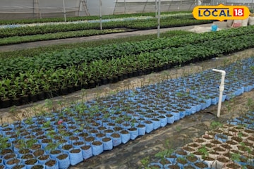 ১-২ কাঠা জমি থাকলেই 'রাজা'! হাওড়ার ঘরে ঘরে নতুন ব্যবসা, কৌশল জানলেই রোজগার হবে মোটা টাকা