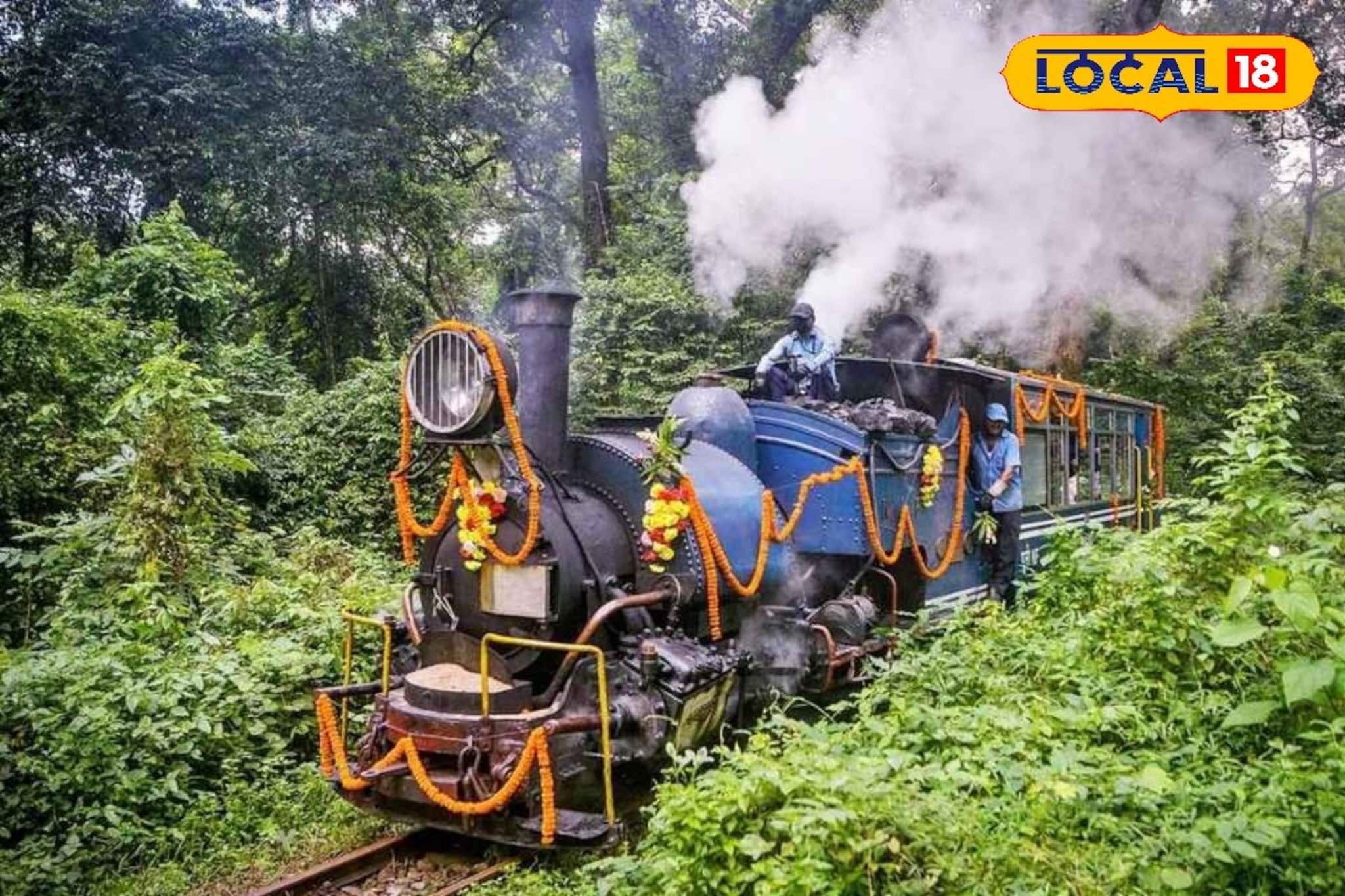 জঙ্গলের বুক চিরে টয় ট্রেনের রোমাঞ্চ, ‘বাঘিরা জঙ্গল ট্রেইল’-এ একদিনের গা-ছমছমে অভিজ্ঞতা