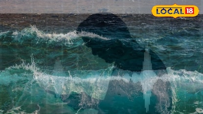 ভারত মহাসাগরে রহস্যজনক তরঙ্গ