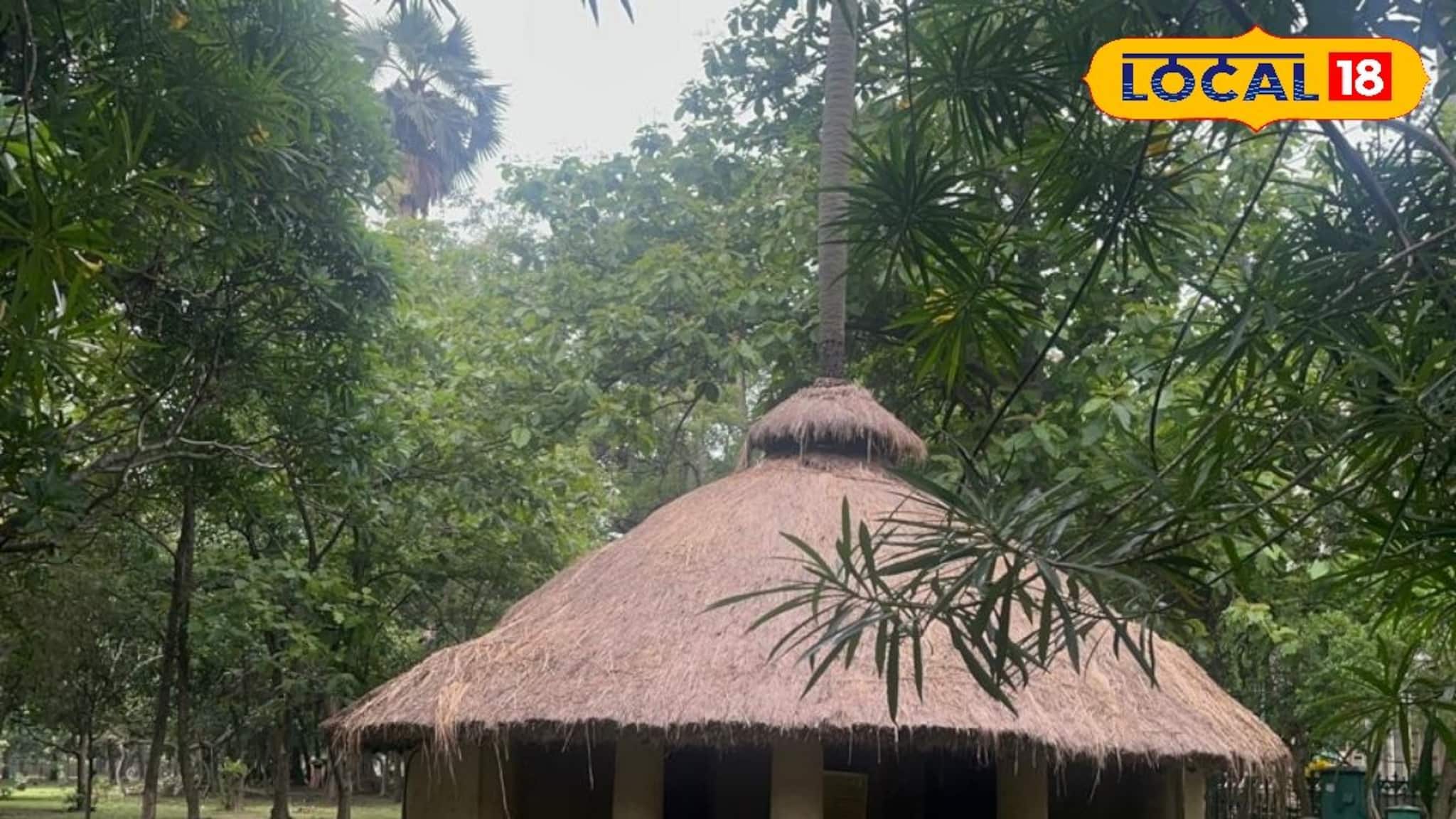 Shantiniketan Tourism: রাঙামাটির বোলপুরে বাড়ির মাঝে আস্ত তালগাছ! আশ্রমিক প্রকৃতিবিদের বাসভবন যেন পর্যটকদের প্রাণের আরাম