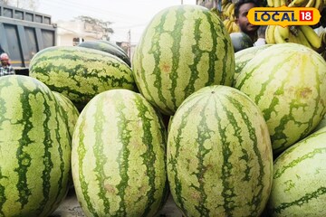 একটার ওজনই ৮ থেকে ১০ কেজি! এক হাতে ধরতেই পারবেন না, ওড়িশার রসালো তরমুজ আসছে বাংলায়
