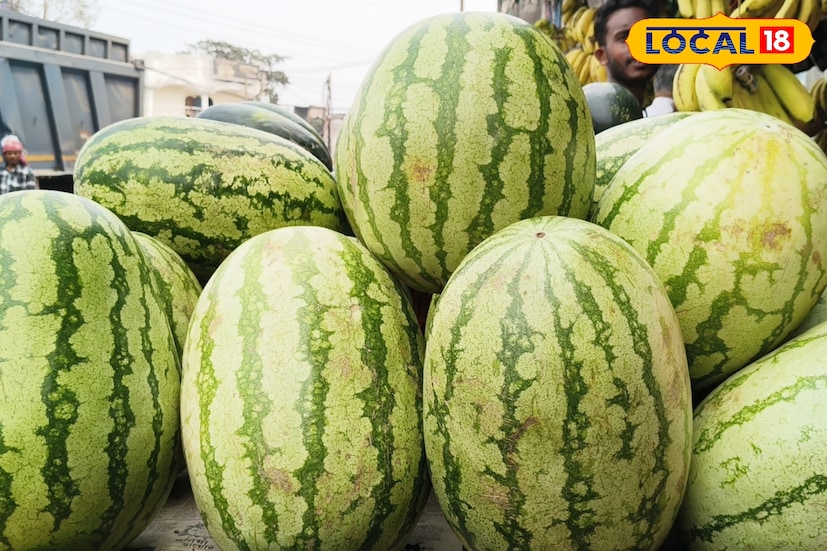 গ্রীষ্ম আসতে না আসতেই রোদের প্রচণ্ড তাপদাহ যেন ক্রমশ বাড়তে শুরু করেছে। সকাল গড়িয়ে দুপুর হতে না হতেই তীব্র রোদে জনজীবন প্রায় অতিষ্ঠ হয়ে উঠছে। এই প্রচণ্ড গরমের মধ্যেই স্বস্তির খোঁজে মানুষ ঝুঁকছেন রসালো ও ঠান্ডা ফলের দিকে। (ছবি ও তথ্য: শান্তনু দাস)