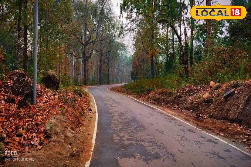 *আলিপুরদুয়ার, অনন্যা দে: বৃষ্টির সম্ভাবনা তৈরি হয়েছে রাজ্যজুড়ে। প্রতিবেশী দেশ এবং রাজ্যগুলির উপর তৈরি হয়েছে ঘূর্ণাবর্ত। তার প্রভাবে রাজ্যের প্রতিটি জেলায় বৃষ্টি হবে বলে জানিয়েছে আবহাওয়া দফতর। কেবল বৃষ্টিই নয়, দমকা হাওয়ার পাশাপাশি বাজ পড়ার আশঙ্কার কথাও জানানো হয়েছে।