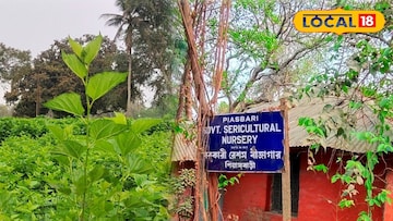 মালদহের