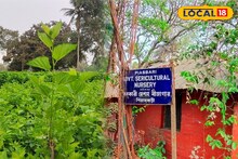 Malda News: দারুণ সিল্কের কাপড় তৈরি হয়, অবিভক্ত ভারতের বাণিজ্যিক ইতিহাসের সাক্ষী মালদহের পিয়াসবাড়ি রেশম নার্সারি!