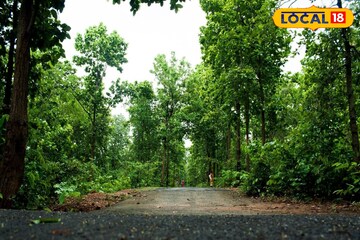 ফের আকাশে জমছে মেঘ, সন্ধ্যা হলেই ধেয়ে আসবে কালবৈশাখী? নামবে বৃষ্টি, তোলপাড় আবহাওয়া