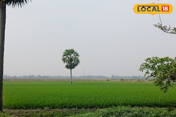 ছুটির দিনে একটু নির্জনতা খুঁজছেন? দু’দিকে সবুজ আর মাঝে সাদা মেঘের মেলা— চিনে নিন এই লুকানো রত্নটি ছুটির দিনে একটু নির্জনতা খুঁজছেন? দু’দিকে সবুজ আর মাঝে সাদা মেঘের মেলা— চিনে নিন এই লুকানো রত্নটি