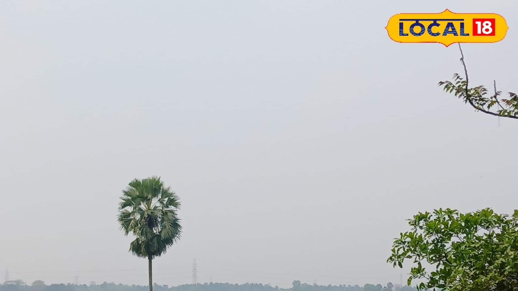 Weekend Trip: ছুটির দিনে একটু নির্জনতা খুঁজছেন? দু’দিকে সবুজ আর মাঝে সাদা মেঘের মেলা— চিনে নিন এই লুকানো রত্নটি