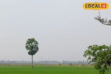 Weekend Trip: ছুটির দিনে একটু নির্জনতা খুঁজছেন? দু’দিকে সবুজ আর মাঝে সাদা মেঘের মেলা— চিনে নিন এই লুকানো রত্নটি