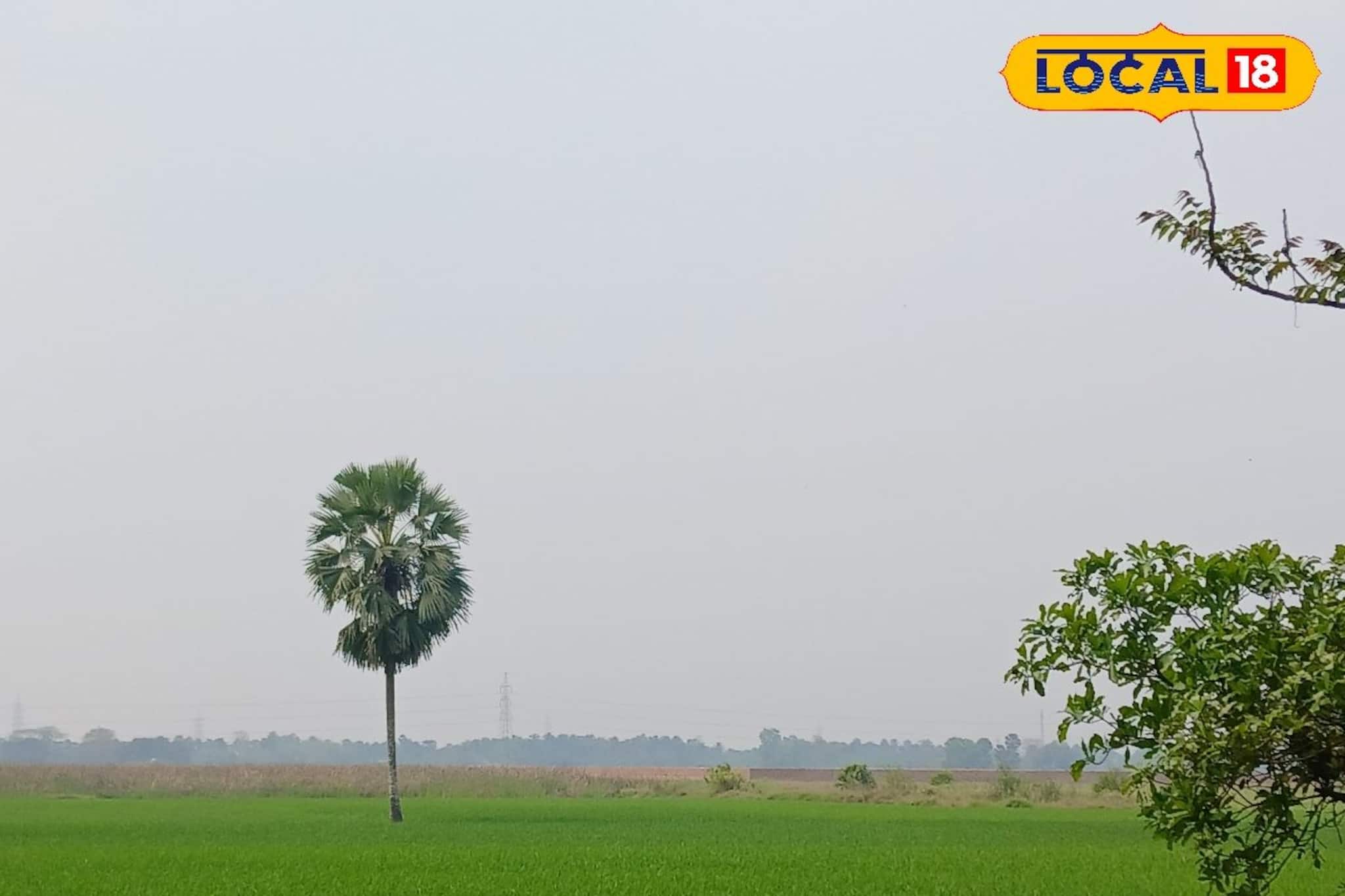 ছুটির দিনে একটু নির্জনতা খুঁজছেন? দু’দিকে সবুজ আর মাঝে সাদা মেঘের মেলা— চিনে নিন এই লুকানো রত্নটি