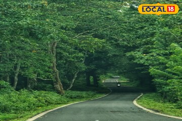 ঝোড়ো হাওয়া, শিলাবৃষ্টি! উত্তরে আবহাওয়ার বড় বদল, কবে থেকে শুরু হবে ঝড়বৃষ্টি? 