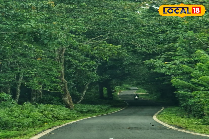 আলিপুরদুয়ার,অনন্যা দে: আকস্মিক বজ্রবিদ্যুৎ সহ ক্ষণস্থায়ী ঝড়, শিলাবৃষ্টির সম্ভাবনা থাকছে শনিবারেও। আগামী ২৪ থেকে ৭২ ঘন্টায় উত্তরবঙ্গে ঝড় বৃষ্টির সম্ভাবনা থাকছে বলে হাওয়া অফিস সূত্রে জানা যায়।পার্বত্য অঞ্চলে বিশেষ সতর্কতা জারি করা হয়েছে। জেনে নিন আবহাওয়ার বড় আপডেট। 