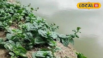 জলাশয়ে