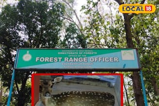 বিয়ে বাড়িতে অবাক কাণ্ড! কোথা থেকে এল চিতল হরিণ? নিমেষে হট্টগোল পুরুলিয়ায়