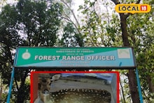 Purulia News: বিয়ে বাড়িতে অবাক কাণ্ড! কোথা থেকে এল চিতল হরিণ? নিমেষে হট্টগোল পুরুলিয়ায়