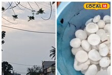 Bankura News: মেঘলা আকাশ, সঙ্গে শিলাবৃষ্টি! কী থাকবে দক্ষিণবঙ্গের আবহাওয়া