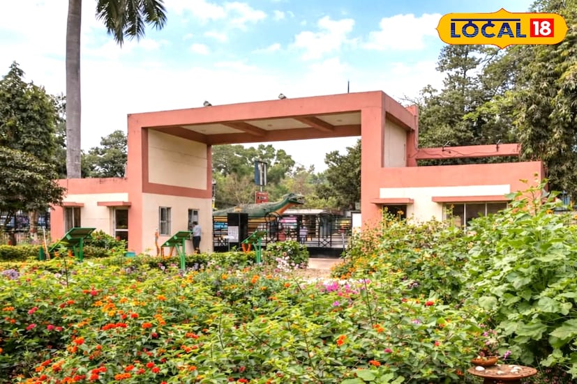 এবার দিঘা ভ্রমণে অপেক্ষা করছে বড় চমক। সময় কাটাতে পারবেন এক ঝাঁক প্রজাপতির সঙ্গে। বিনোদনের নতুন সংযোজন হিসেবে দিঘা বিজ্ঞান কেন্দ্রে চালু হল ‘বাটারফ্লাই গার্ডেন’ বা প্রজাপতি উদ্যান। খোলা বাগানে ইতিমধ্যেই বিভিন্ন প্রজাতির রঙিন প্রজাপতির দেখা মিলছে। যেন প্রজাপতিদের এক স্বর্গরাজ্য তৈরি হয়েছে এখানে। এই নতুন আকর্ষণ টানে পর্যটক থেকে স্থানীয় মানুষের ভিড় ক্রমশ বাড়ছে।