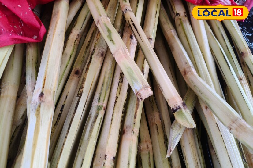 পুরুলিয়া-সহ জঙ্গলমহলের বিস্তীর্ণ এলাকাজুড়ে ক্রমশ বাড়ছে গ্রীষ্মের তীব্র দাবদাহ। এই পরিস্থিতিতে শরীরকে সুস্থ ও সতেজ রাখা বড় চ্যালেঞ্জ। অতিরিক্ত গরমে জলশূন্যতা, ক্লান্তি ও হিটস্ট্রোকের ঝুঁকি বেড়ে যায়। রেই পরিস্থিতিতে আখের রস ম্যাজিকের মতো কাজ করে! গ্রীষ্মের দাপদাহে আখের রস শরীর ঠান্ডা রাখে, তাৎক্ষণিক শক্তি জোগায়, লিভার ও কিডনি সুস্থ রাখে এবং ত্বক ও চুলের যত্নে দারুণ কার্যকরী। এতে থাকা অ্যান্টিঅক্সিডেন্ট রোগ প্রতিরোধ ক্ষমতা বাড়ায়, হজমে সাহায্য করে এবং জন্ডিস নিরাময়েও সহায়তা করে