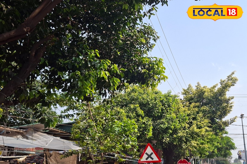 *শিলিগুড়ি, ঋত্বিক ভট্টাচার্য: উত্তরবঙ্গ এখন দ্বৈত চাপে—একদিকে ভোটের আগে রাজনৈতিক উত্তাপ, অন্যদিকে আবহাওয়ার অস্থিরতা। সপ্তাহের শুরুতেই ঝড়বৃষ্টির দাপট দেখা গিয়েছিল, আর এবার ফের কালবৈশাখীর সম্ভাবনা ঘনাচ্ছে। আবহাওয়া দফতরের সতর্কবার্তায় ইতিমধ্যেই বাড়ছে উদ্বেগ।