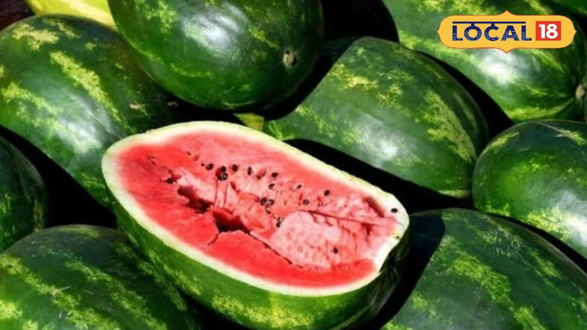 Watermelon: রোজ বাজারে গিয়ে ঠকছেন? কীভাবে বুঝবেন তরমুজ লাল না ফ্যাকাসে, মিষ্টি না পানসে? রইল চেনার সহজ টিপস