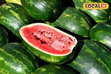 Watermelon: রোজ বাজারে গিয়ে ঠকছেন? কীভাবে বুঝবেন তরমুজ লাল না ফ্যাকাসে, মিষ্টি না পানসে? রইল চেনার সহজ টিপস