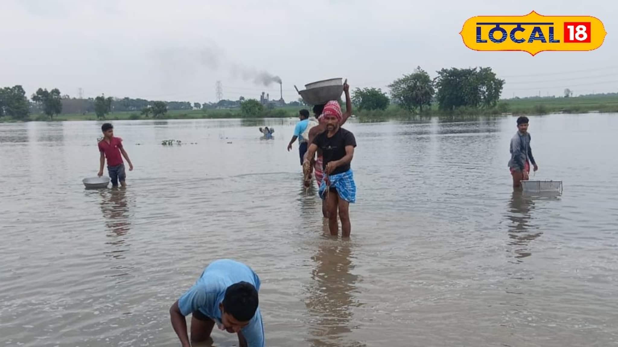 শিলাবৃষ্টিতে লণ্ডভণ্ড কাটোয়া, কোথাও নৌকা, কোথাও গামলা ভাসিয়ে পেঁয়াজ-রসুন তুলছে চাষিরা