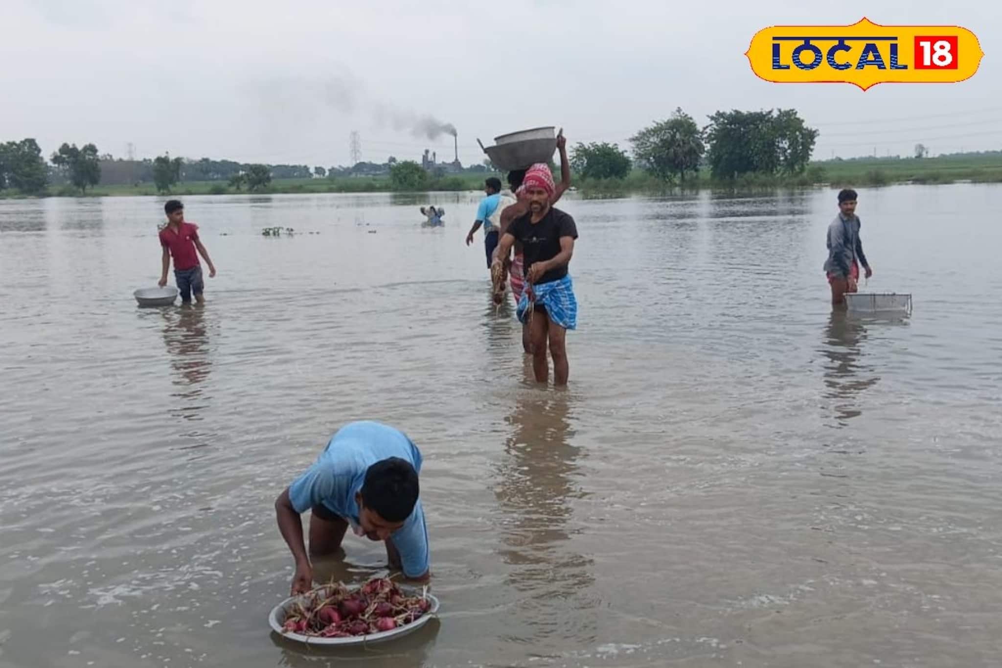 শিলাবৃষ্টিতে লণ্ডভণ্ড কাটোয়া, কোথাও নৌকা, কোথাও গামলা ভাসিয়ে পেঁয়াজ-রসুন তুলছে চাষিরা শিলাবৃষ্টিতে লণ্ডভণ্ড কাটোয়া, কোথাও নৌকা, কোথাও গামলা ভাসিয়ে পেঁয়াজ-রসুন তুলছে চাষিরা