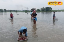 East Bardhaman News: শিলাবৃষ্টিতে লণ্ডভণ্ড কাটোয়া, কোথাও নৌকা, কোথাও গামলা ভাসিয়ে পেঁয়াজ-রসুন তুলছে চাষিরা
