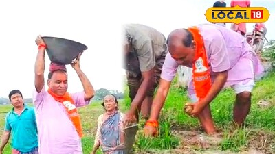 মাঠে নেমে আলু তুললেন বিজেপি প্রার্থী গোপাল চন্দ্র সাহা 