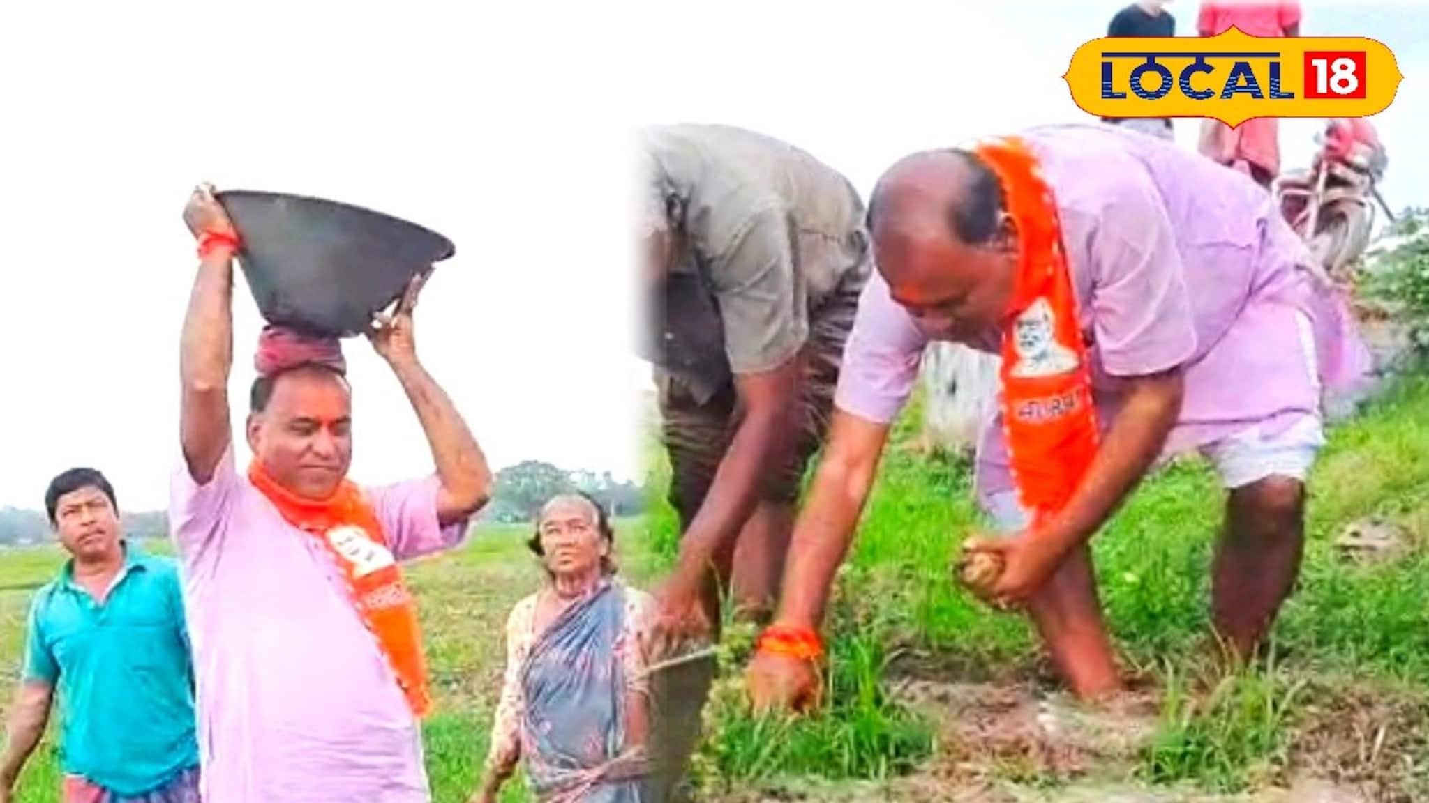 জলমগ্ন ক্ষেতে ‘হঠাৎ অবতরণ’ বিজেপি প্রার্থীর! কাদায় নেমে তুললেন আলু, 'নাটক' বলে কটাক্ষ তৃণমূলের