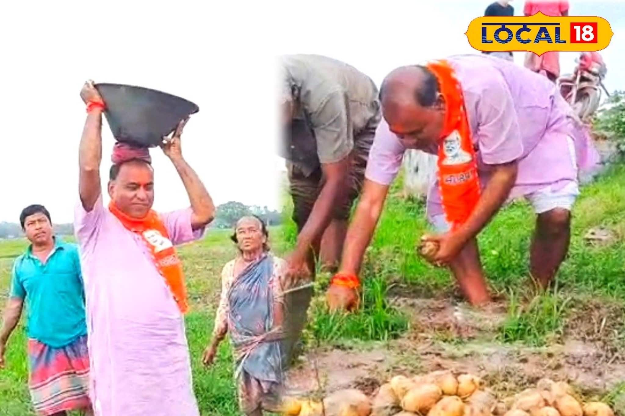 জলমগ্ন ক্ষেতে ‘হঠাৎ অবতরণ’ বিজেপি প্রার্থীর! কাদায় নেমে তুললেন আলু, 'নাটক' বলে কটাক্ষ তৃণমূলের