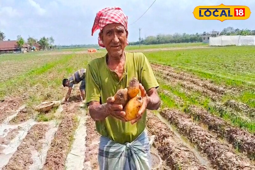 উত্তরবঙ্গ জুড়ে টানা দু’দিনের অকাল বৃষ্টিতে বিপর্যস্ত মালদহের কৃষি। জেলার প্রায় ১২ হাজার হেক্টর আলুর জমি জলের তলায় চলে যাওয়ায় চরম দুশ্চিন্তায় পড়েছেন আলু চাষিরা। বাজারে আলুর দাম নেই, তার উপর জলমগ্ন জমি থেকে আলু তুলতে গিয়ে বাড়ছে খরচ। সব মিলিয়ে মাথায় হাত কৃষকদের।(ছবি ও তথ্য: জিএম মোমিন)