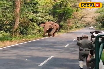 অ্যাকশনে বন দফতর, গরুমারার রাস্তায় এইসব ভুল করলে ফাঁসবেন পর্যটকরা