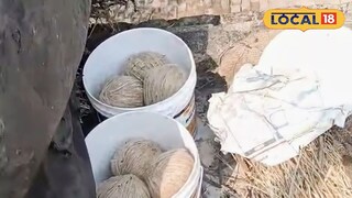 বোমা উদ্ধার