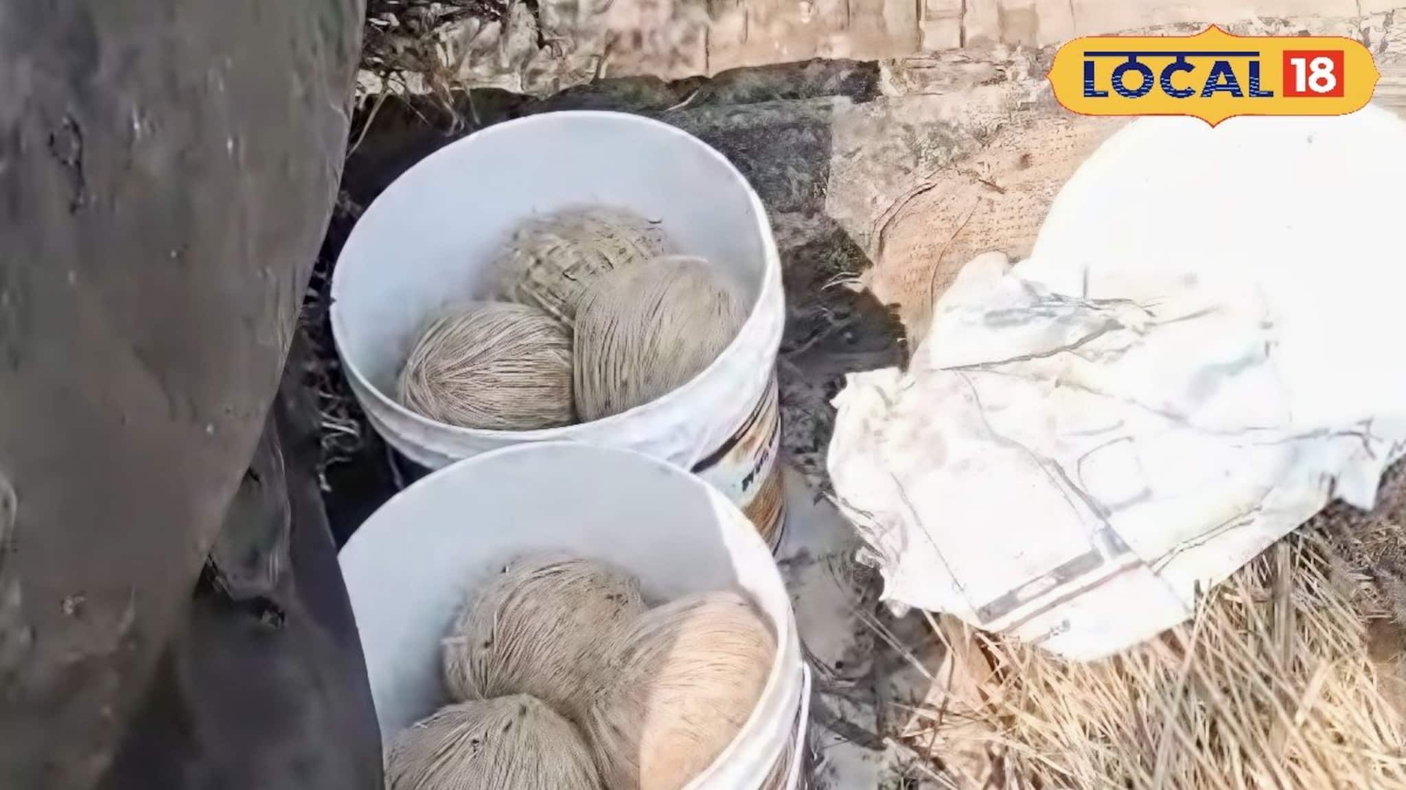  বিধানসভা ভোটের আগে হাড়োয়ায় উদ্ধার ২২ টা তাজা বোমা, চাঞ্চল্য এলাকায়