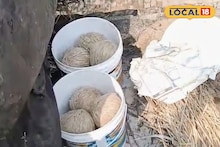 Bomb Rescue: বিধানসভা ভোটের আগে হাড়োয়ায় উদ্ধার ২২ টা তাজা বোমা, চাঞ্চল্য এলাকায়