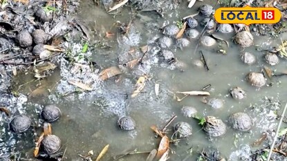 পুকুরে বোমার ভান্ডার