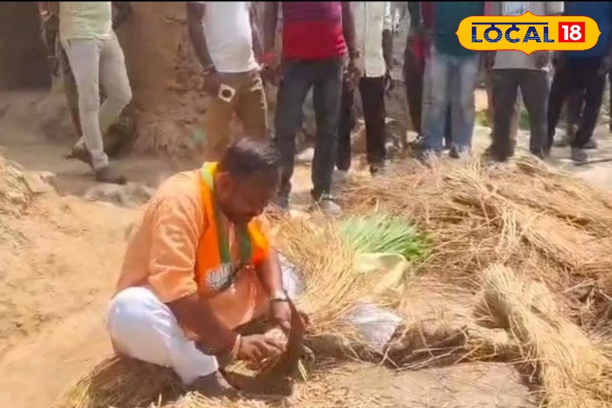 বিজেপির ভোট প্রচারে কেউ কামিয়ে দিচ্ছেন দাড়ি, তো আবার কেউ কেটে দিচ্ছেন খড়!