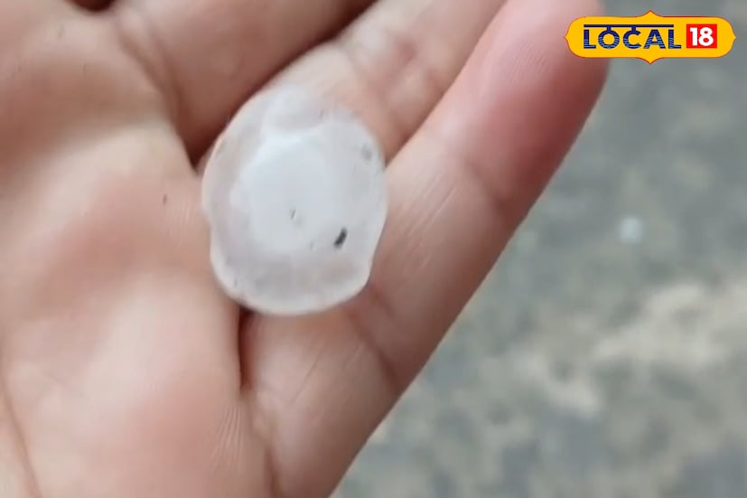 উত্তর ২৪ পরগনা, রুদ্র নারায়ন রায়: জেলার নানা প্রান্তের পাশাপাশি বিধাননগর, সল্টলেক, বাগুইহাটি সহ বিস্তীর্ণ এলাকায় আচমকাই বৃষ্টির সঙ্গে শিলাবৃষ্টি শুরু হয় উত্তর ২৪ পরগনা, রুদ্র নারায়ন রায়: জেলার নানা প্রান্তের পাশাপাশি বিধাননগর, সল্টলেক, বাগুইহাটি সহ বিস্তীর্ণ এলাকায় আচমকাই বৃষ্টির সঙ্গে শিলাবৃষ্টি শুরু হয়