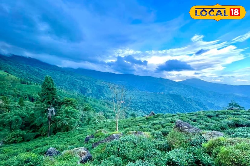 আলিপুরদুয়ার, অনন্যা দে: উত্তরবঙ্গের হাওয়ায় উন্নতির সম্ভাবনা নেই,অতিভারী বৃষ্টির ভ্রুকুটি থেকেই যাচ্ছে।সঙ্গে ঝোড়ো হাওয়া বইবে পূর্বাভাস হাওয়া অফিসের। শুক্রবার রাতে আচমকাই আবহাওয়া বদলে শুরু হয় ঝড়-বৃষ্টি। আবহাওয়া দফতর সূত্রে খবর, দুর্যোগের রেশ কাটতে এখনও বেশ কয়েকদিন বাকি। জেনে নেওয়া যাক আবহাওয়ার বড় আপডেট।