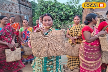 জিরো ইনভেস্টমেন্টেই অঢেল লাভ, পচা জলের আগাছাই এখন আয়ের নয়া দিশা জিরো ইনভেস্টমেন্টেই অঢেল লাভ, পচা জলের আগাছাই এখন আয়ের নয়া দিশা