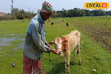 আলু চাষিদের ক্ষতিপূরণ দেবে সরকার! জেলায় চালু করা হল ২৫টি হেল্প ডেস্ক, কীভাবে আবেদন করতে হবে জানুন