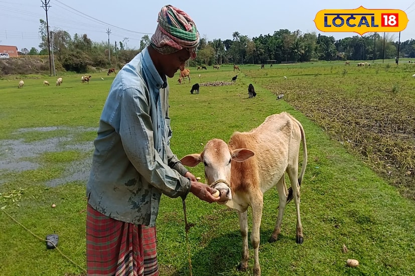 অতিবৃষ্টির জেরে জলপাইগুড়ি জেলায় ব্যাপক ক্ষতির মুখে পড়েছেন আলু চাষিরা। প্রশাসনিক সূত্রে জানা গিয়েছে, জেলায় প্রায় ৭৩৪১ হেক্টর জমির আলু চাষ ক্ষতিগ্রস্ত হয়েছে। এর ফলে ক্ষতির মুখে পড়েছেন মোট ৩২ হাজার ১০৩ জন চাষি। (ছবি ও তথ্যঃ সুরজিৎ দে) অতিবৃষ্টির জেরে জলপাইগুড়ি জেলায় ব্যাপক ক্ষতির মুখে পড়েছেন আলু চাষিরা। প্রশাসনিক সূত্রে জানা গিয়েছে, জেলায় প্রায় ৭৩৪১ হেক্টর জমির আলু চাষ ক্ষতিগ্রস্ত হয়েছে। এর ফলে ক্ষতির মুখে পড়েছেন মোট ৩২ হাজার ১০৩ জন চাষি। (ছবি ও তথ্যঃ সুরজিৎ দে)