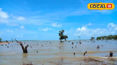 বিচিত্রপুর