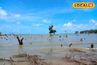 দিঘার ভিড় এড়িয়ে এবার যান ‘গোপন বিচ’! টাটকা মাছ, লাল কাঁকড়া আর নিস্তব্ধতা, এই জায়গা মিস করলে আফসোস